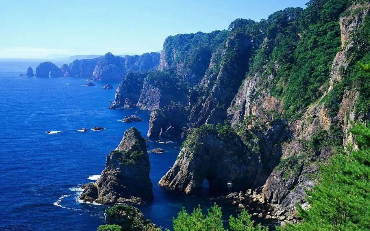 高性能自动化独特
